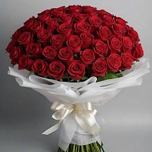 Букет 101 Красная роза Блэк Мэджик в Павловское