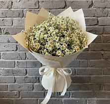 Букет цветов из:  Ромашки в Павловское