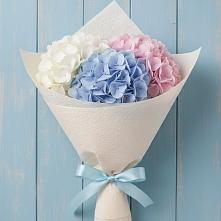 Букет цветов из:  Гортензия в Павловское