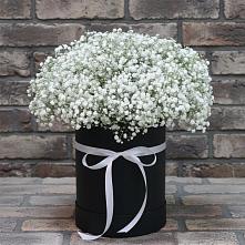 Цветочная композиция из Гипсофила в шляпной коробке в Павловское