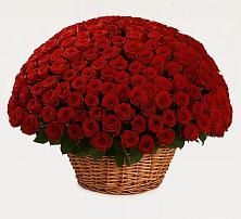 Премиум букет из: Розы в Павловское