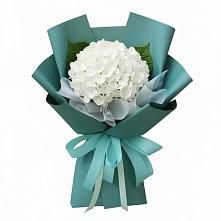 Букет цветов из:  Гортензия в Павловское